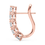 Load image into Gallery viewer, Hoop Earrings With Omega Backs