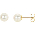 Panache Pearl Stud Earrings for Women